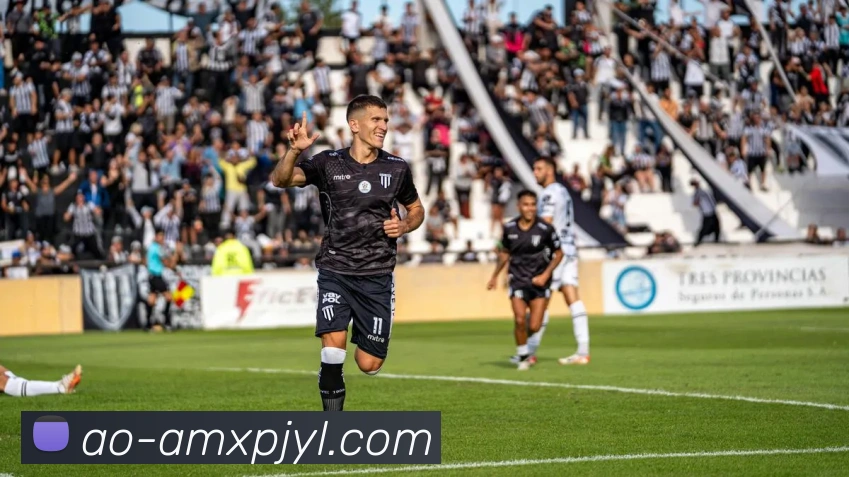 新葡京娱乐平台生态图